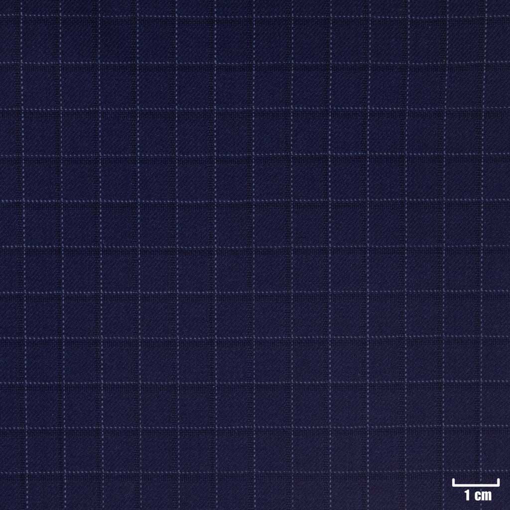 BLUE, SMALL CHECKS