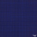 BLUE, CHECKS