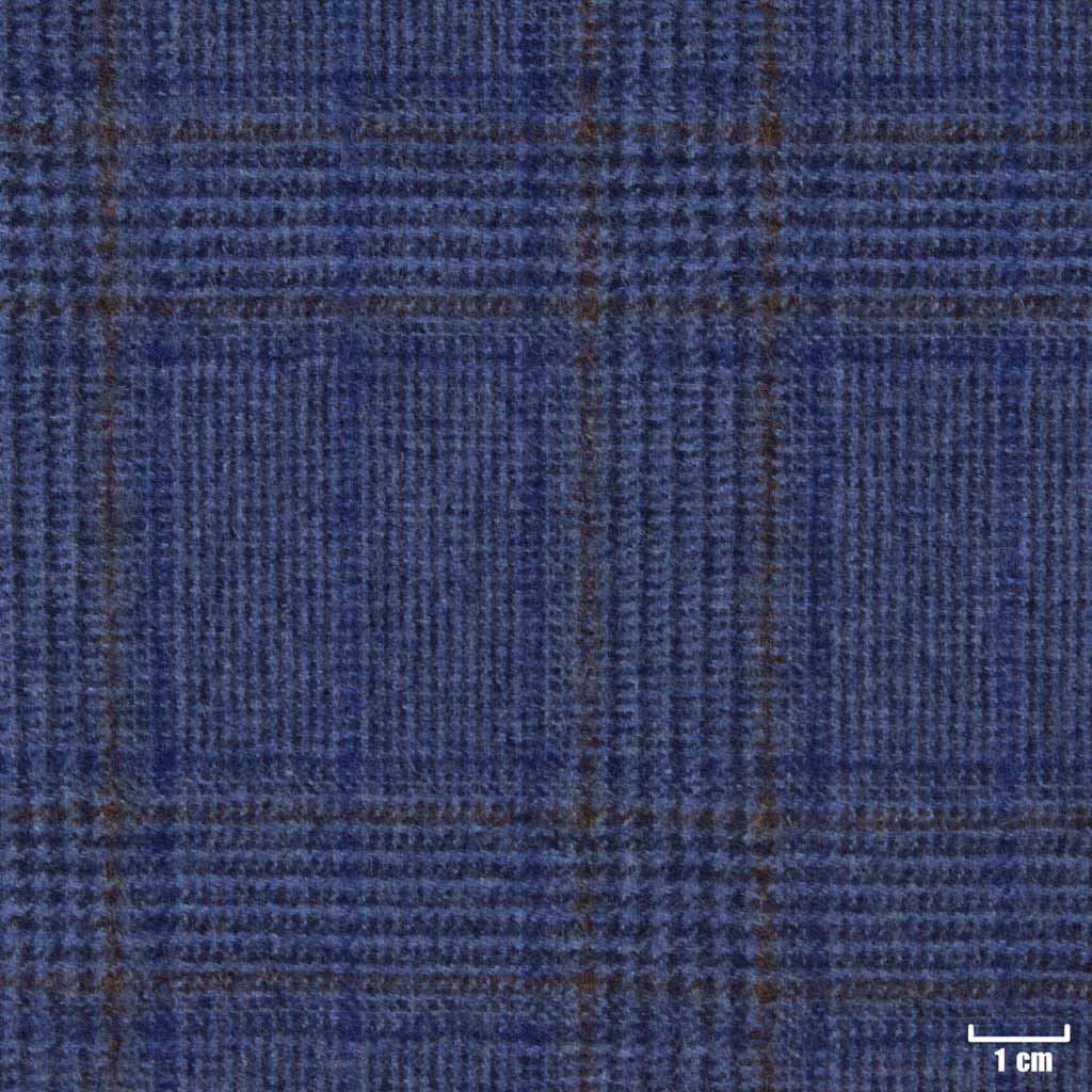 BLUE, CHECKS