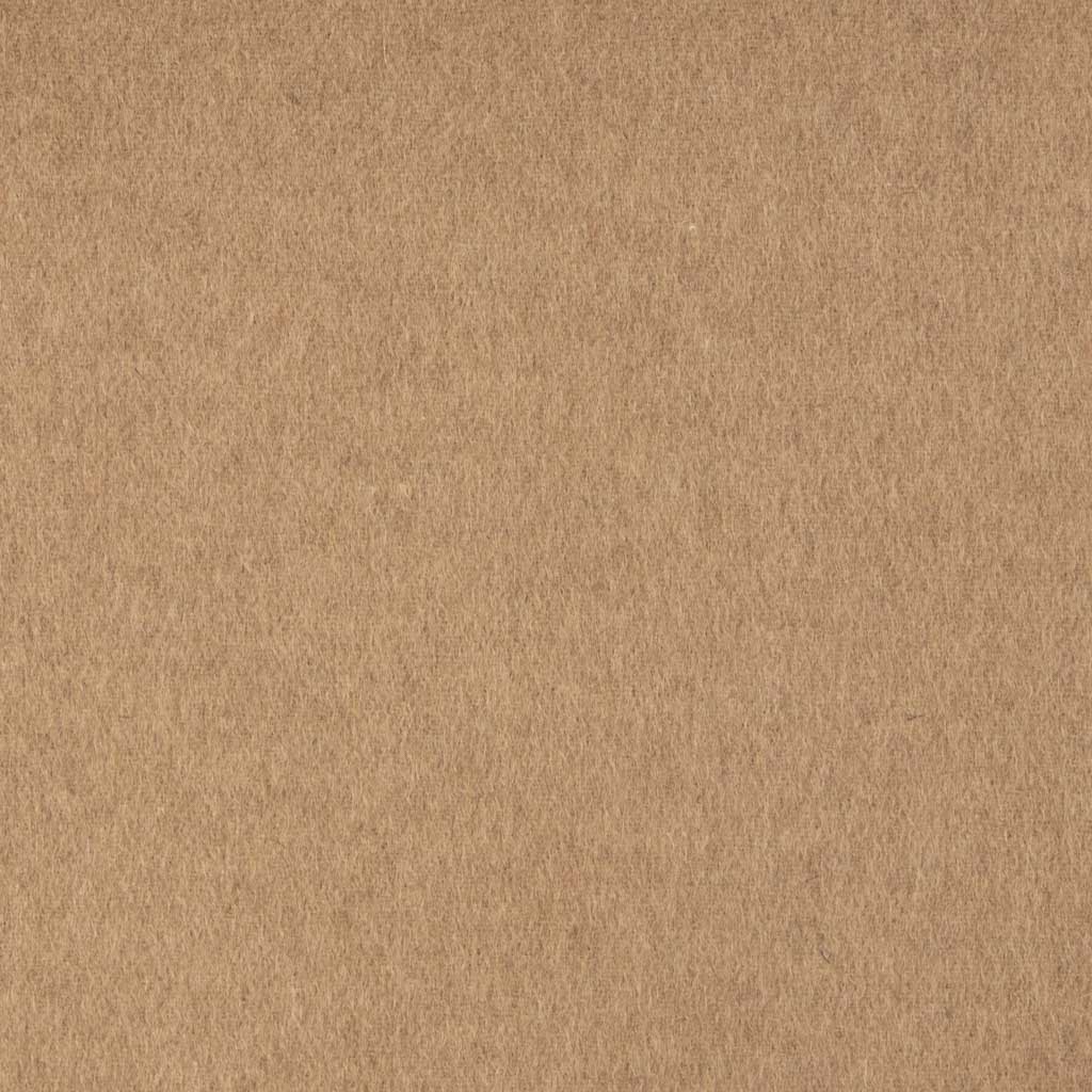 CAMEL, PLAIN
