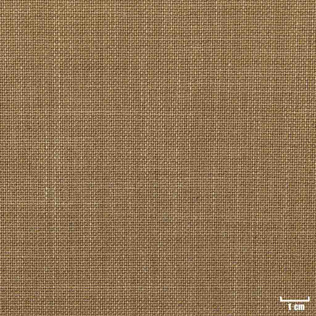 CAMEL, PLAIN