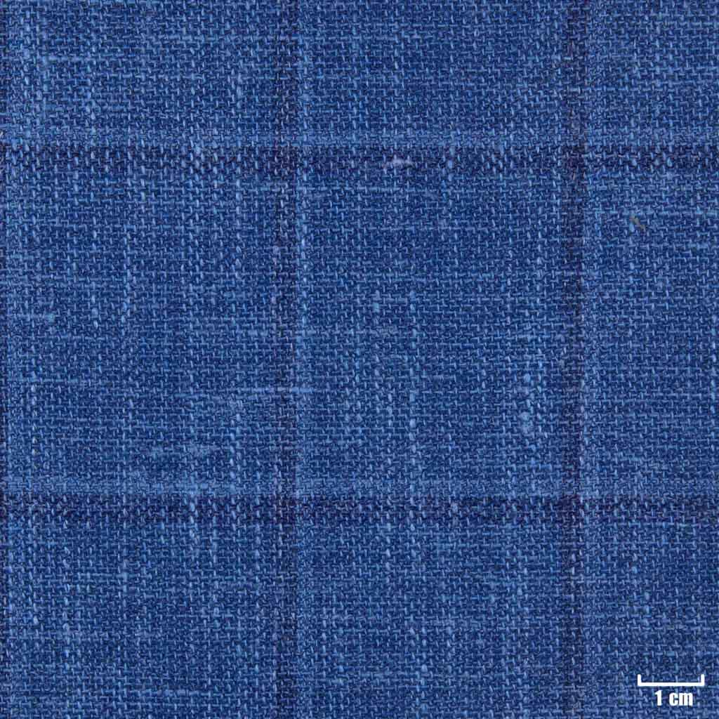 BLUE, CHECKS