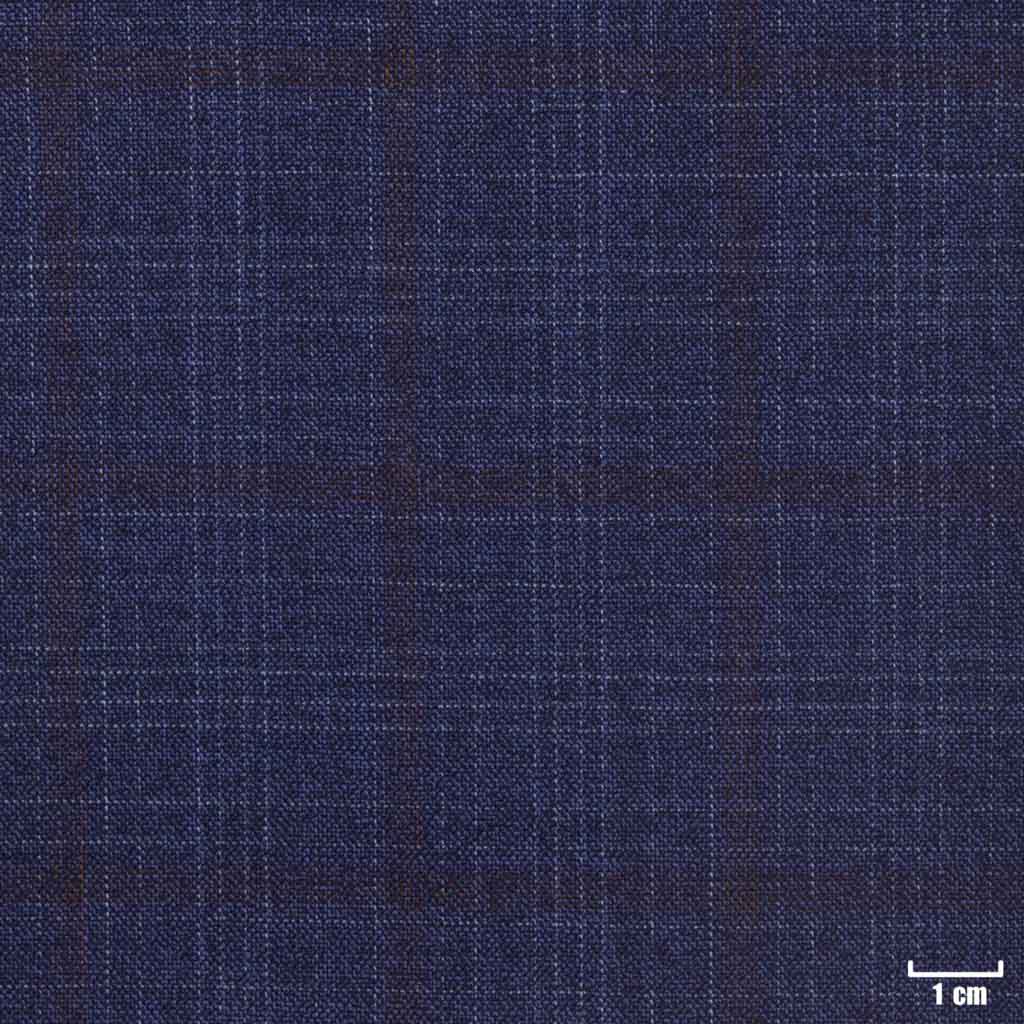 BLUE, BROWN CHECKS
