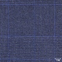 BLUE, CHECKS