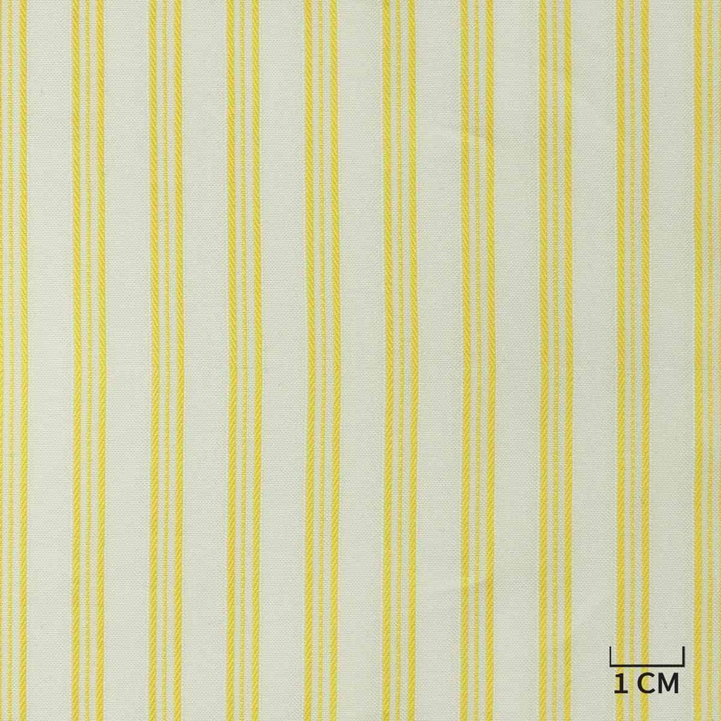WHITE, YELLOW STRIPES