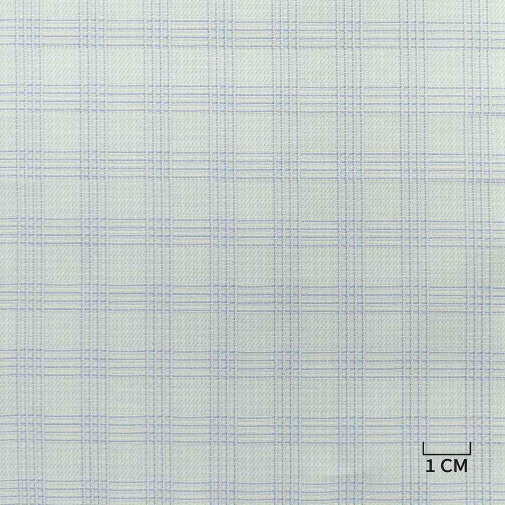 BLUE, CHECKS