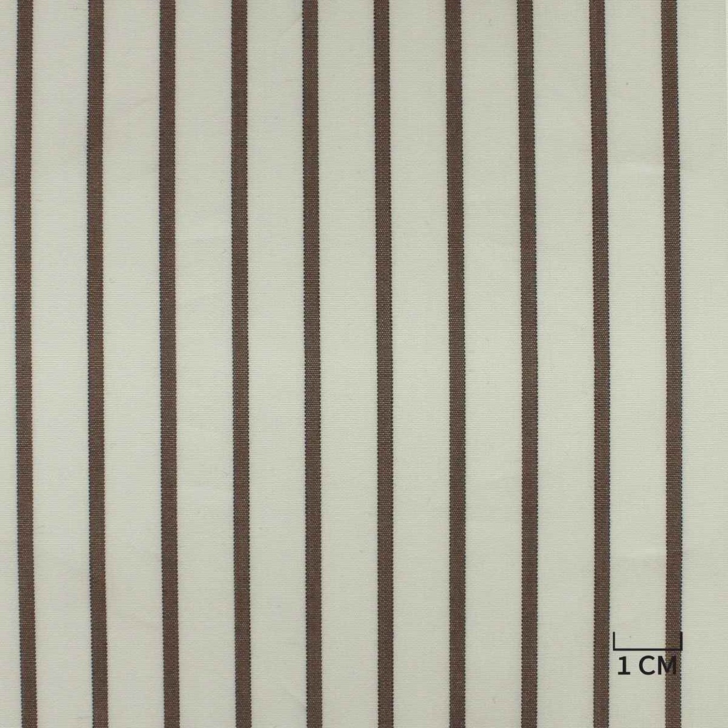 WHITE, BROWN STRIPES