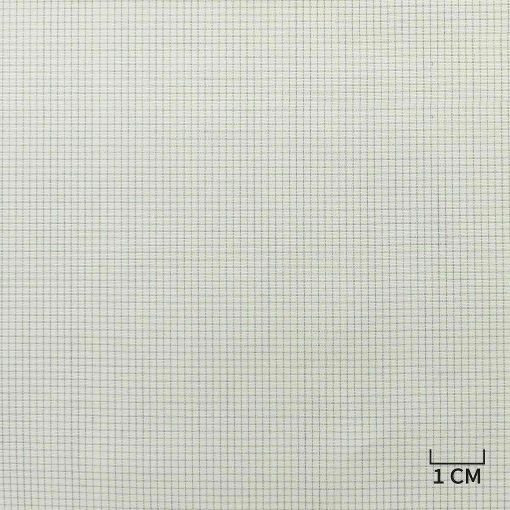 WHITE, BLUE CHECKS