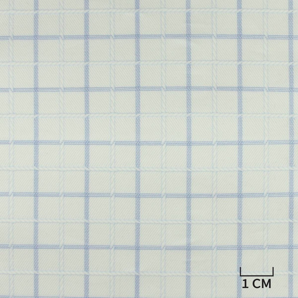 WHITE, BLUE CHECKS