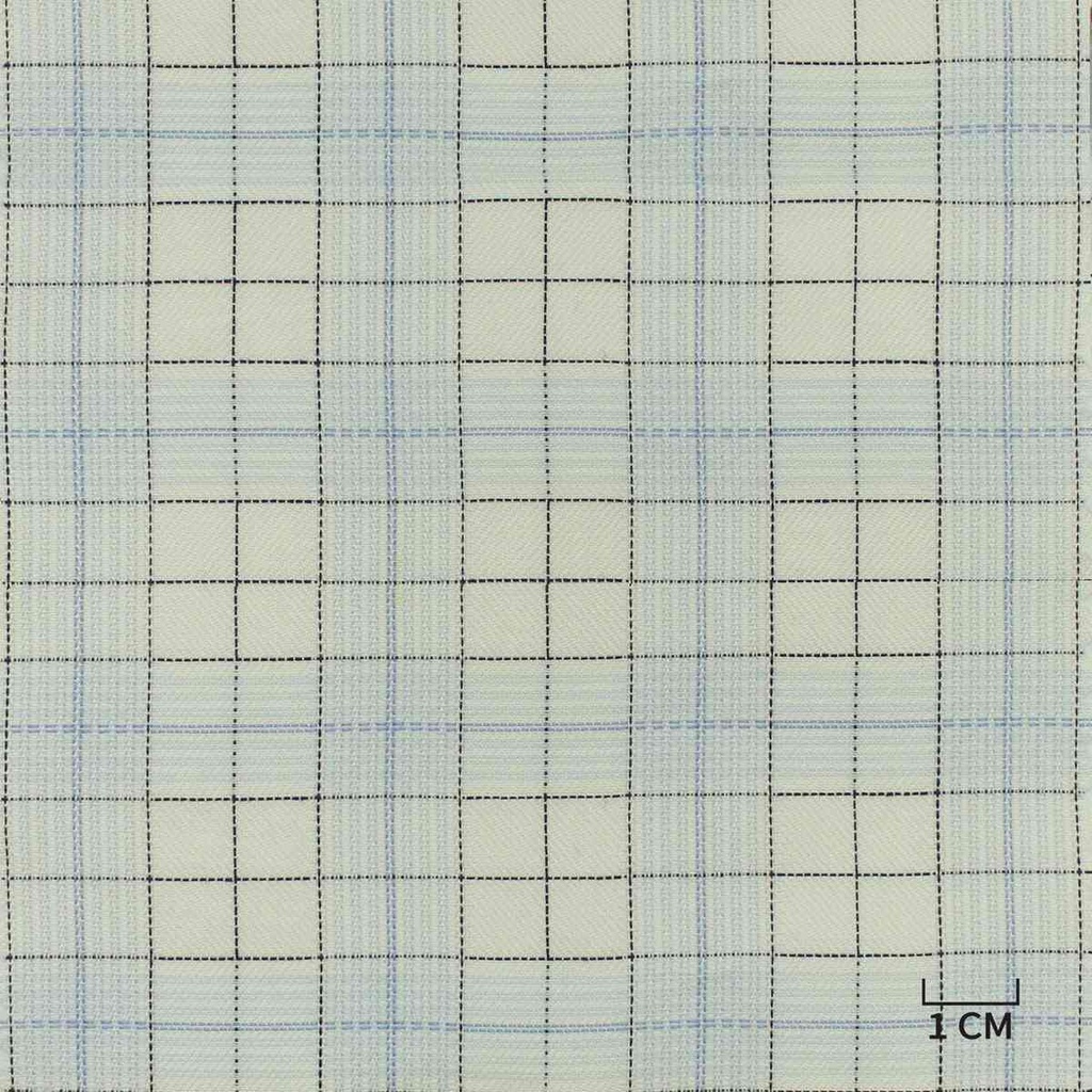 WHITE, BLUE CHECKS