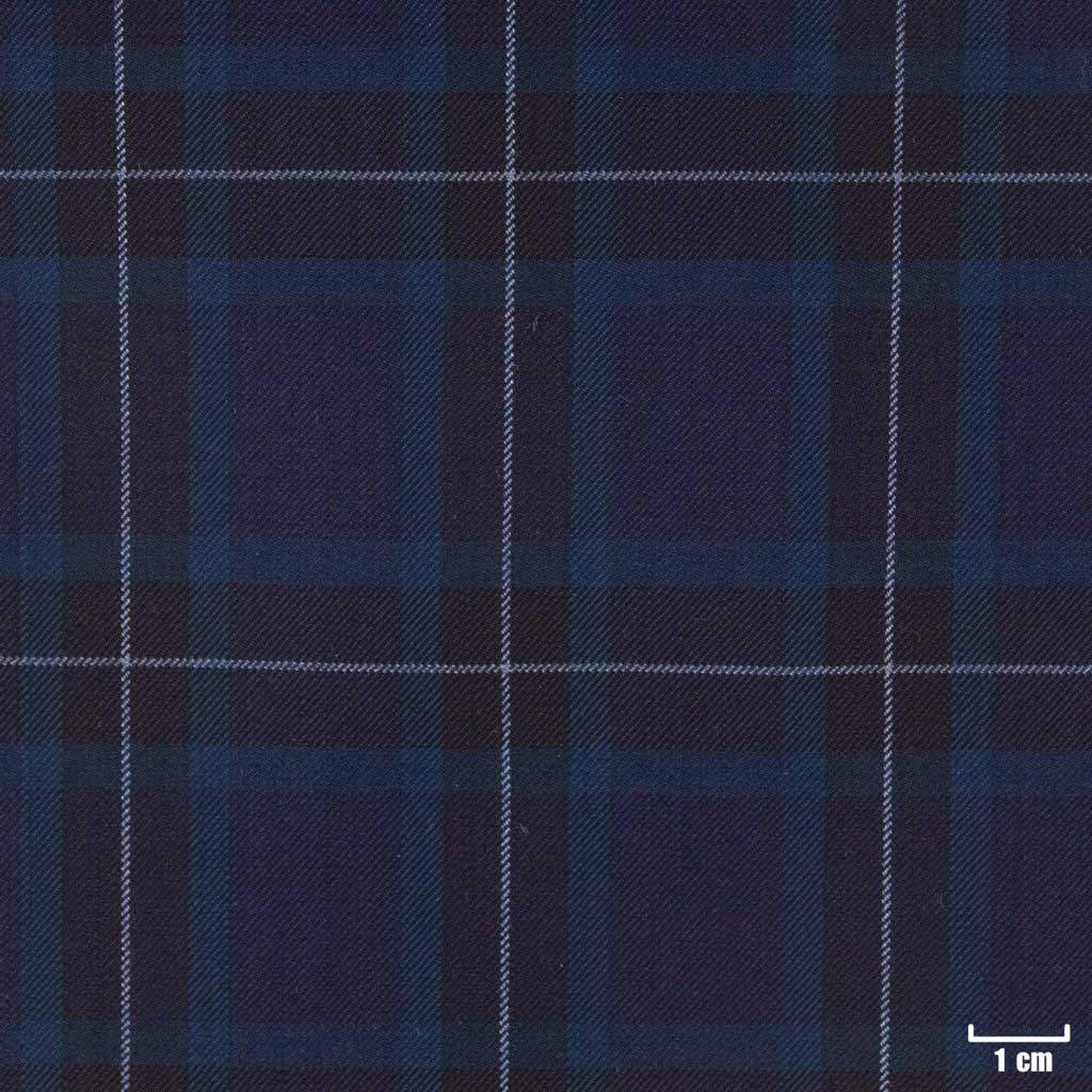 DARK BLUE, BLUE CHECKS