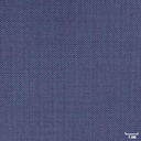 LIGHT BLUE, BIRDEYE