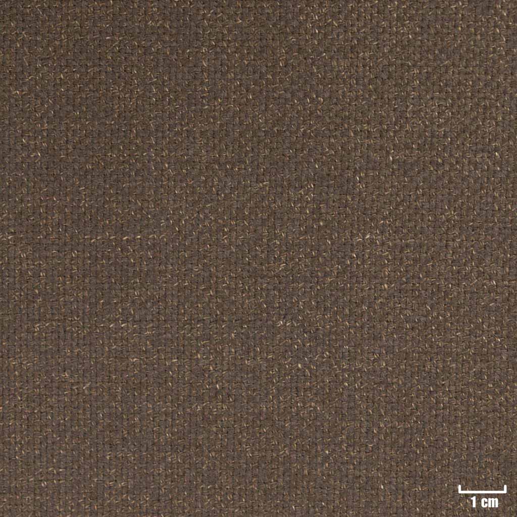 BROWN, PLAIN