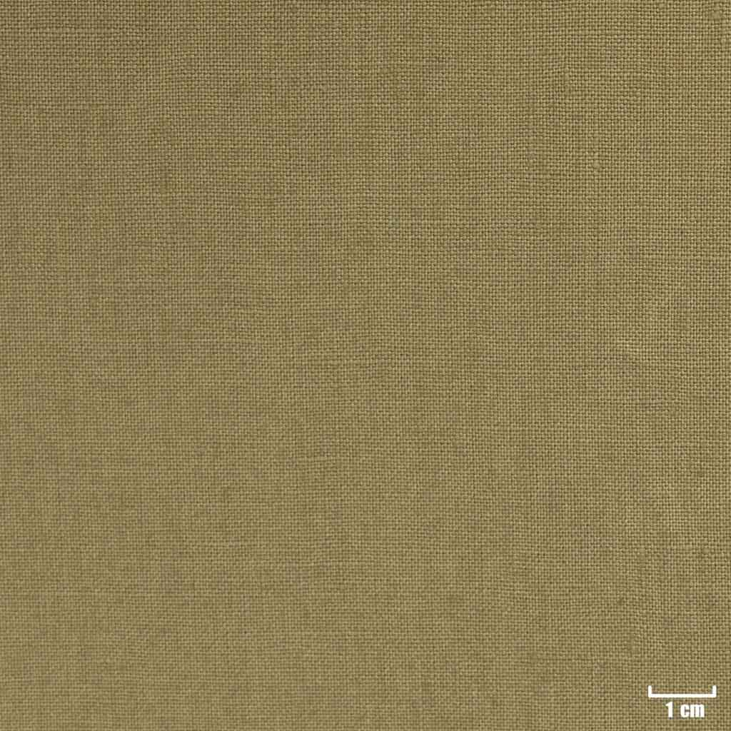 LIGHT GREEN, PLAIN