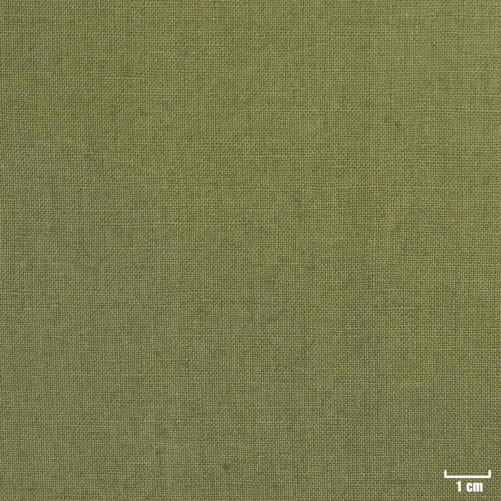 GREEN, PLAIN