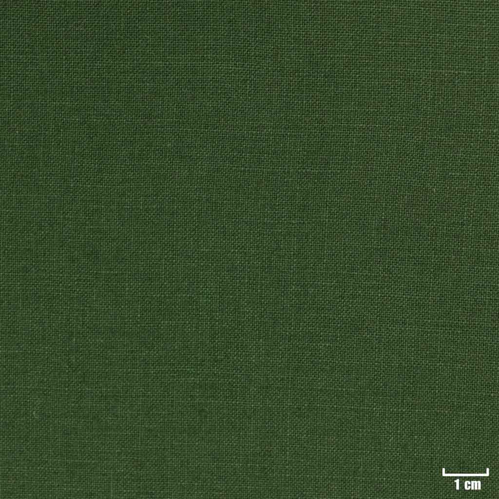 GREEN, PLAIN