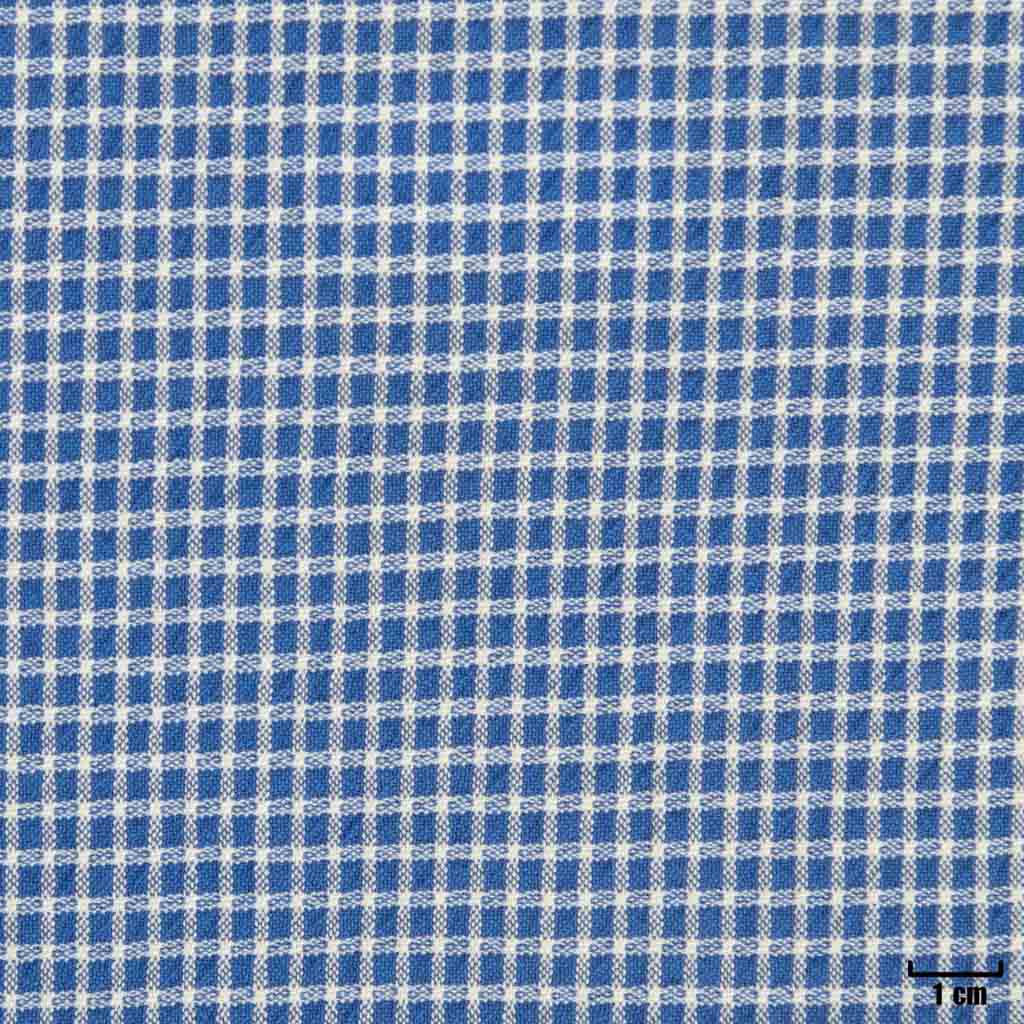 BLUE, SMALL CHECKS