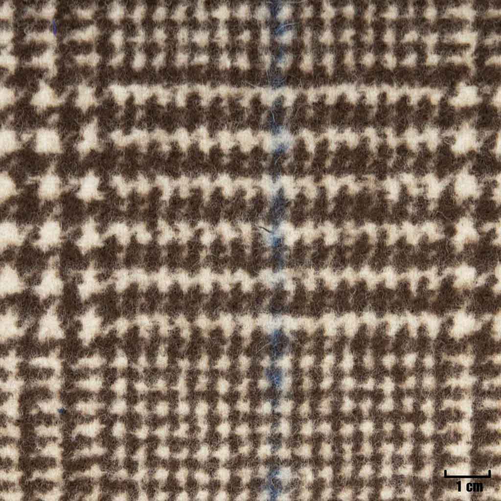 BROWN, BIG BLUE CHECKS