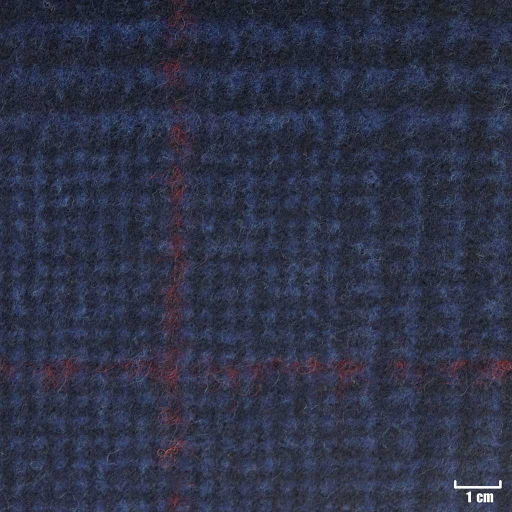 BLUE, BIG RED CHECKS