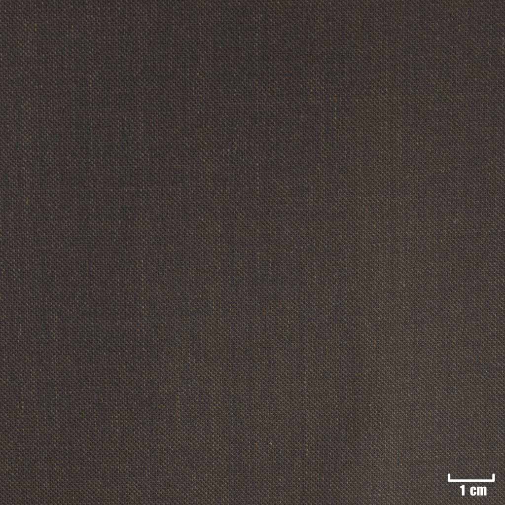 BROWN, PLAIN