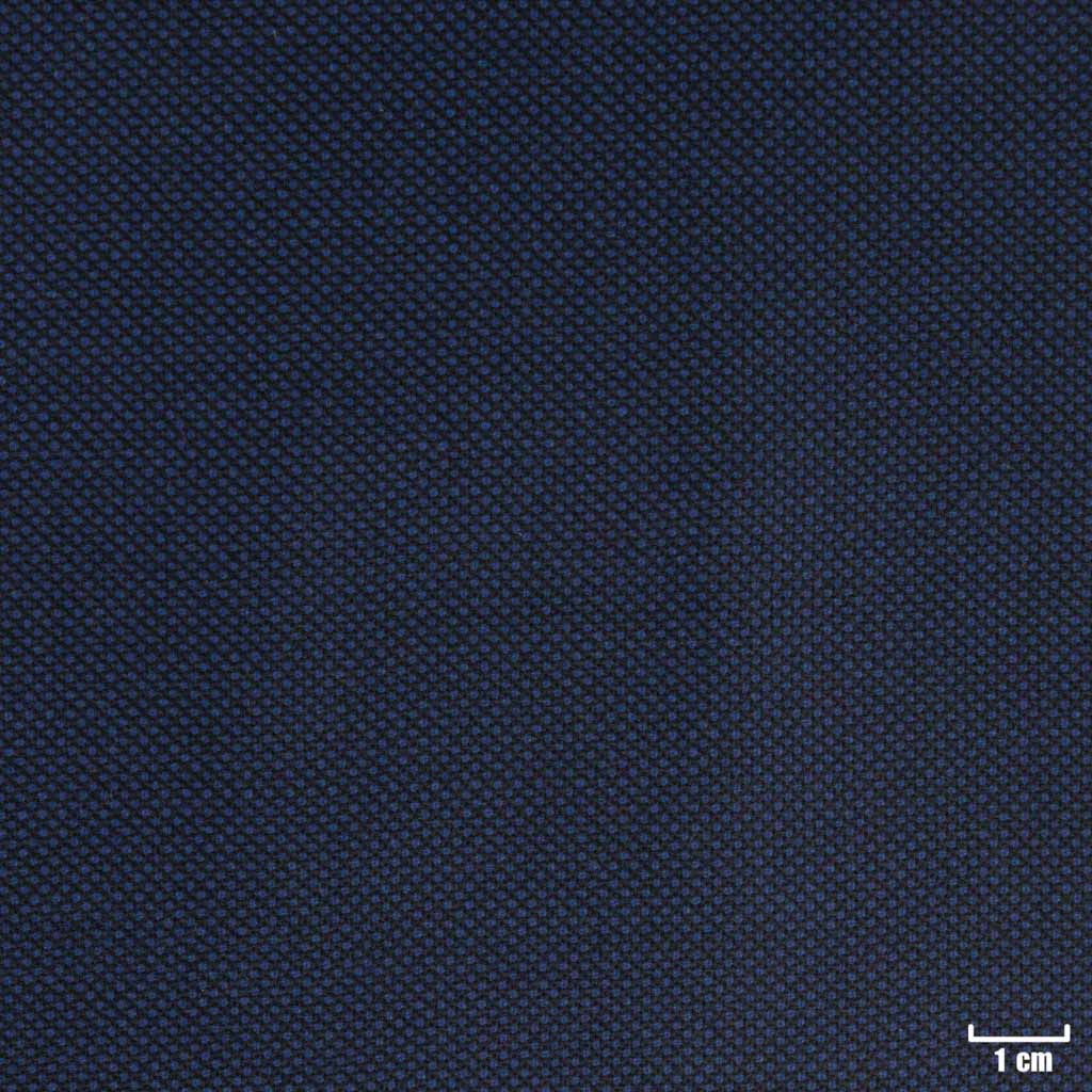 DARK BLUE, BIRDEYE