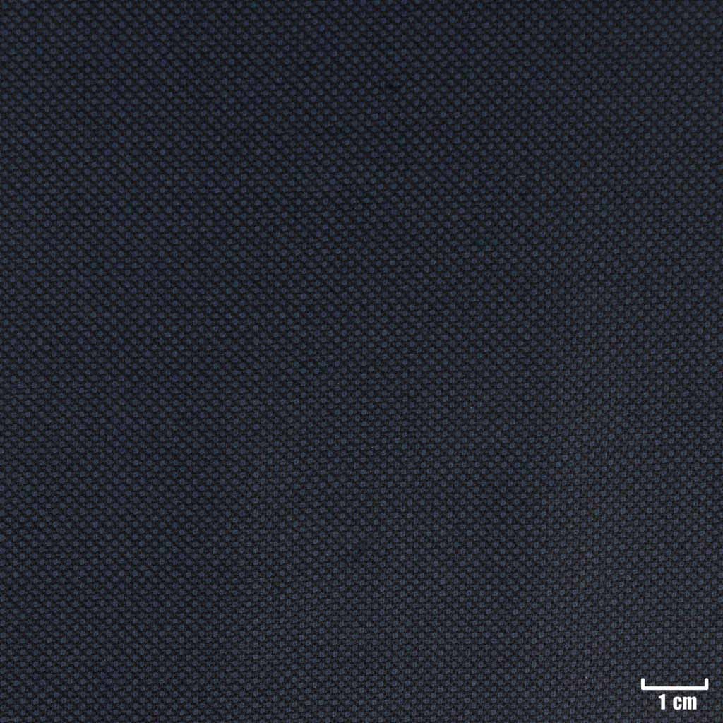 DARK BLUE, BIRDEYE