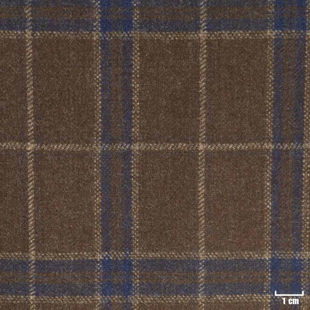 BROWN, BLUE CHECKS