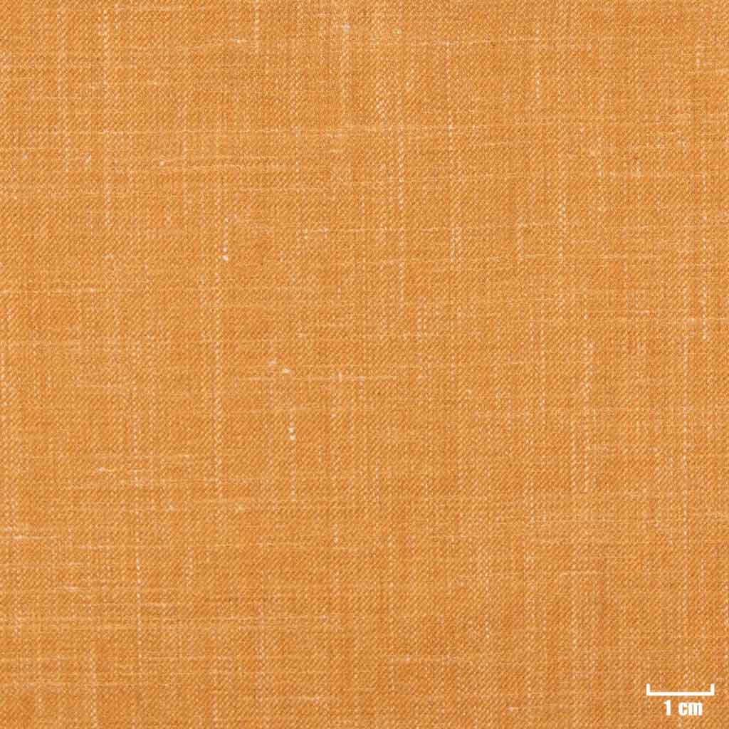 CAMEL, PLAIN