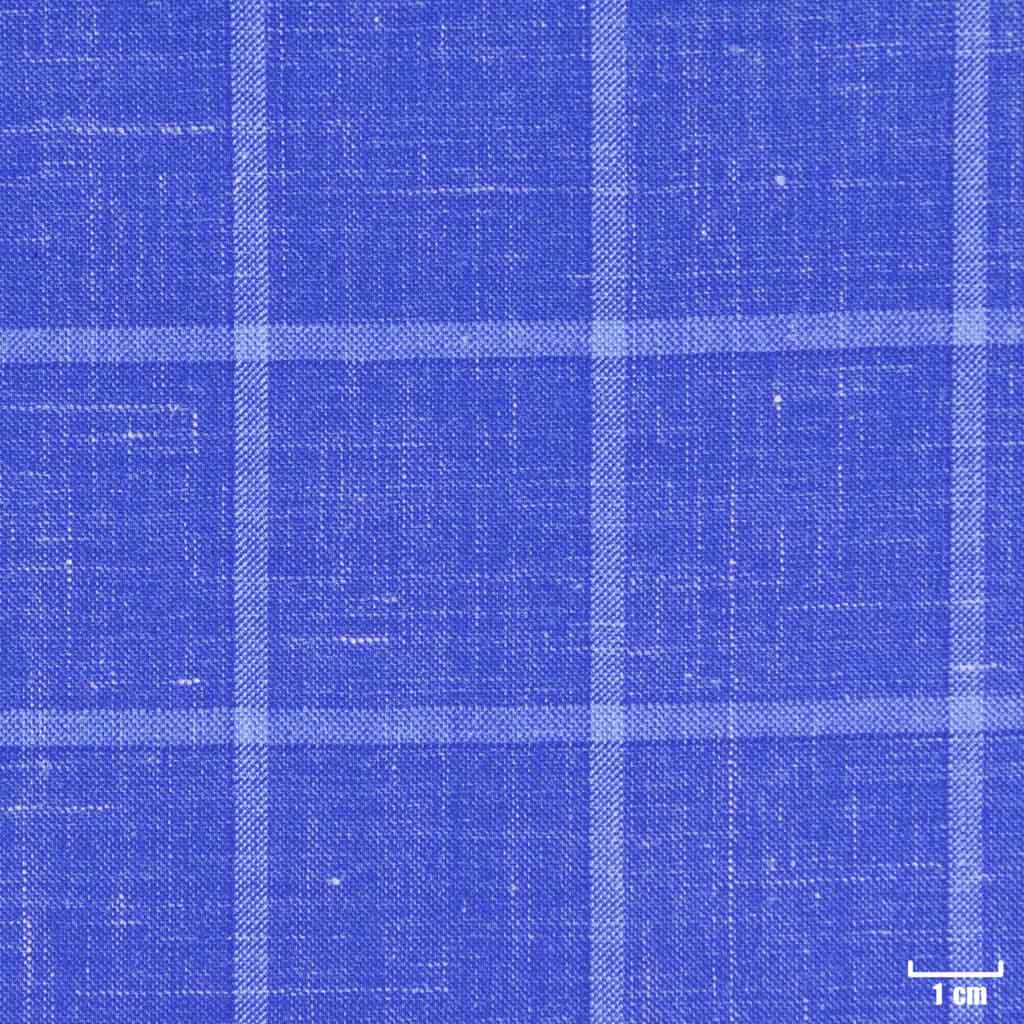 BLUE, BIG CHECKS