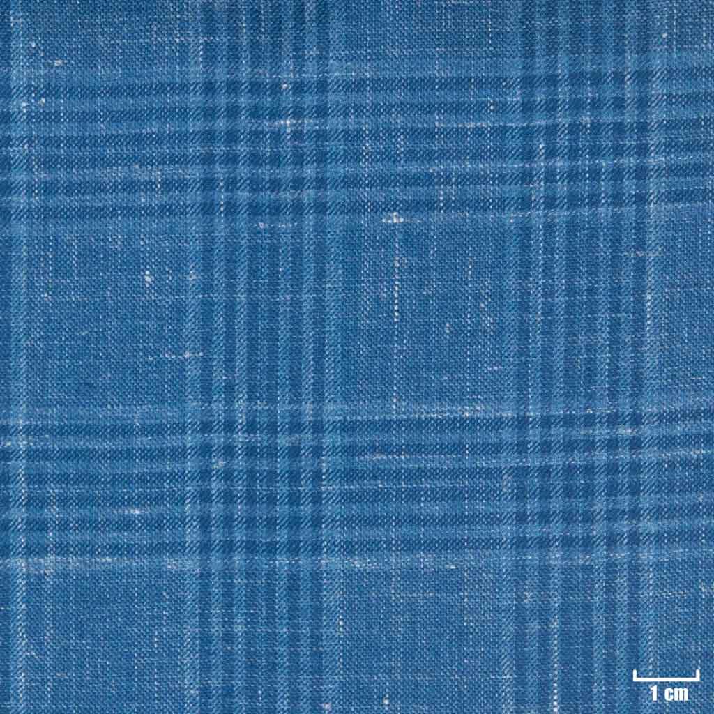 BLUE, CHECKS