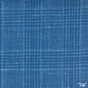 BLUE, CHECKS