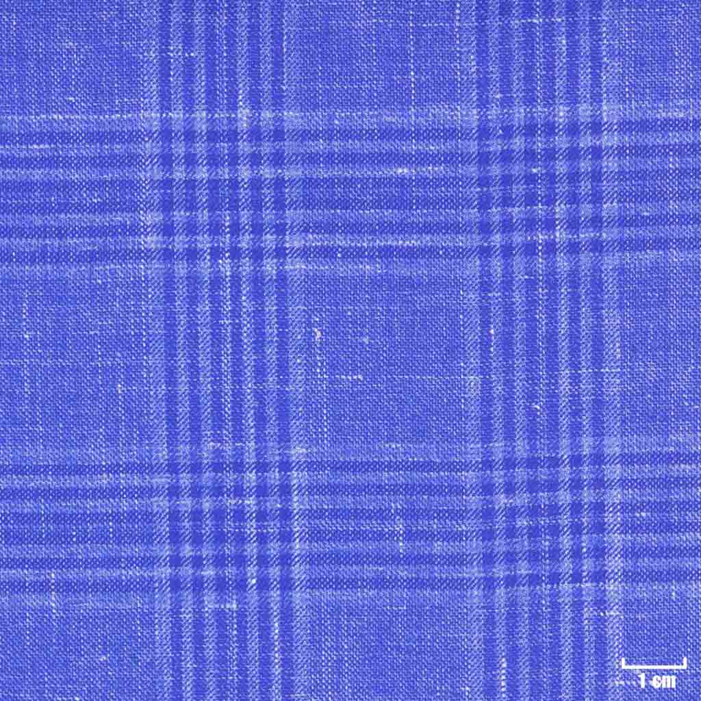 BLUE, CHECKS