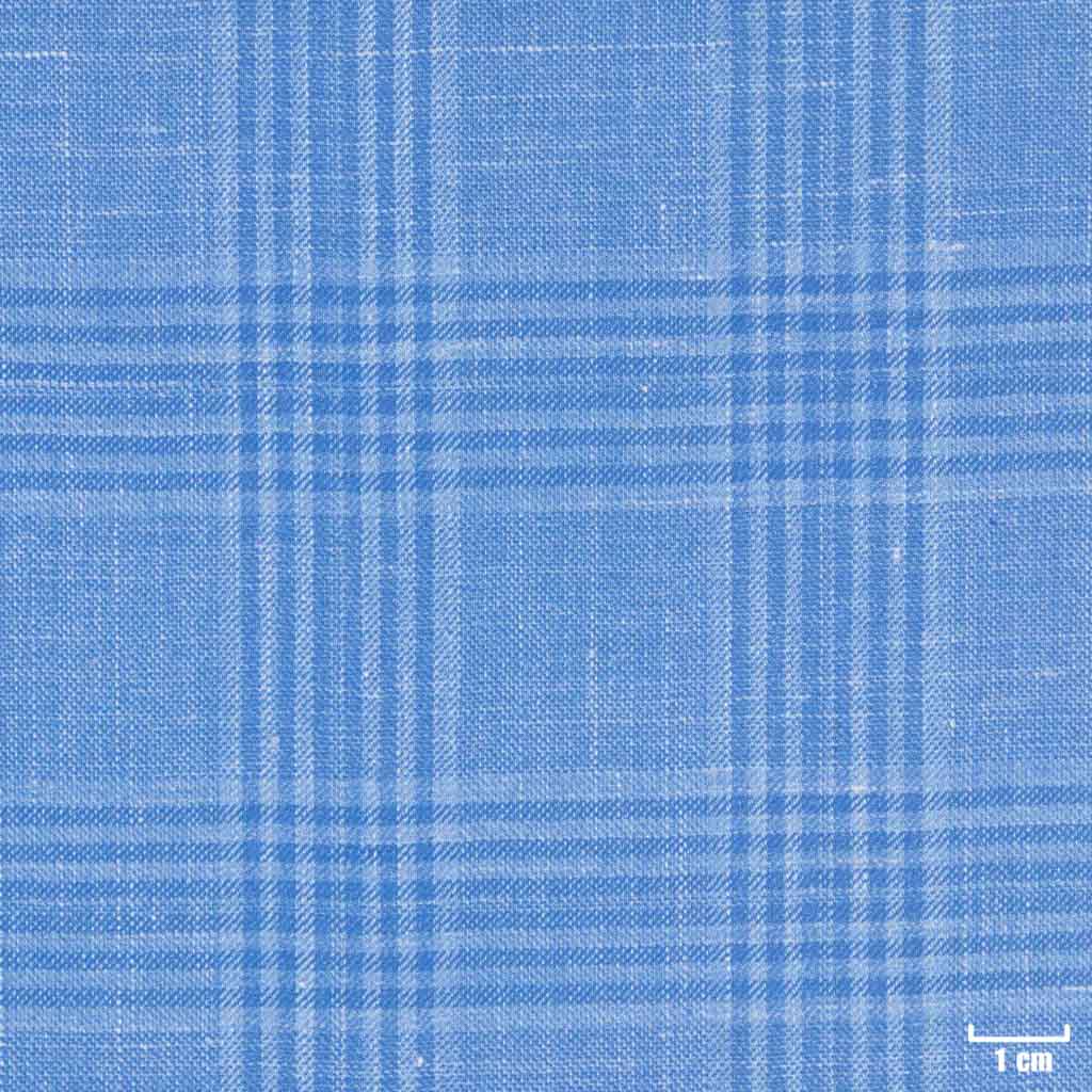 BLUE, CHECKS