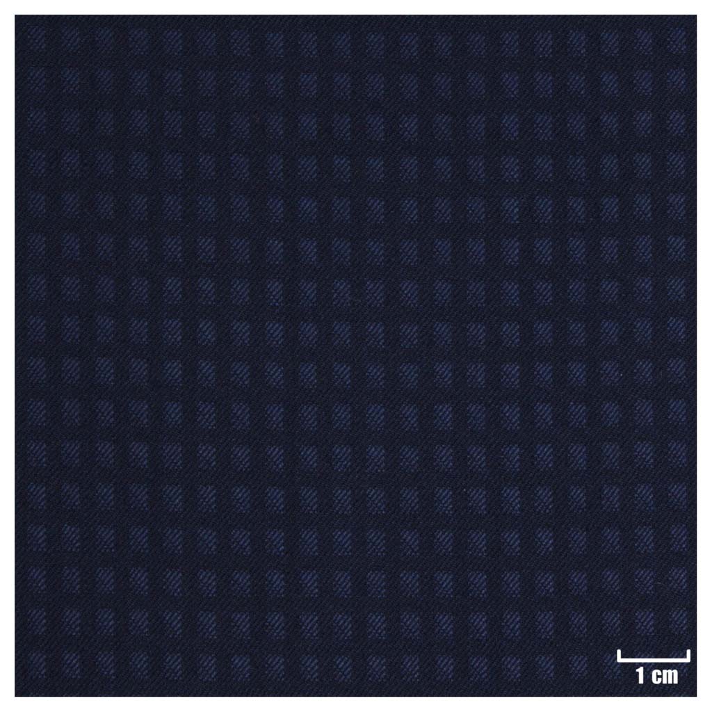 BLUE, SMALL CHECKS