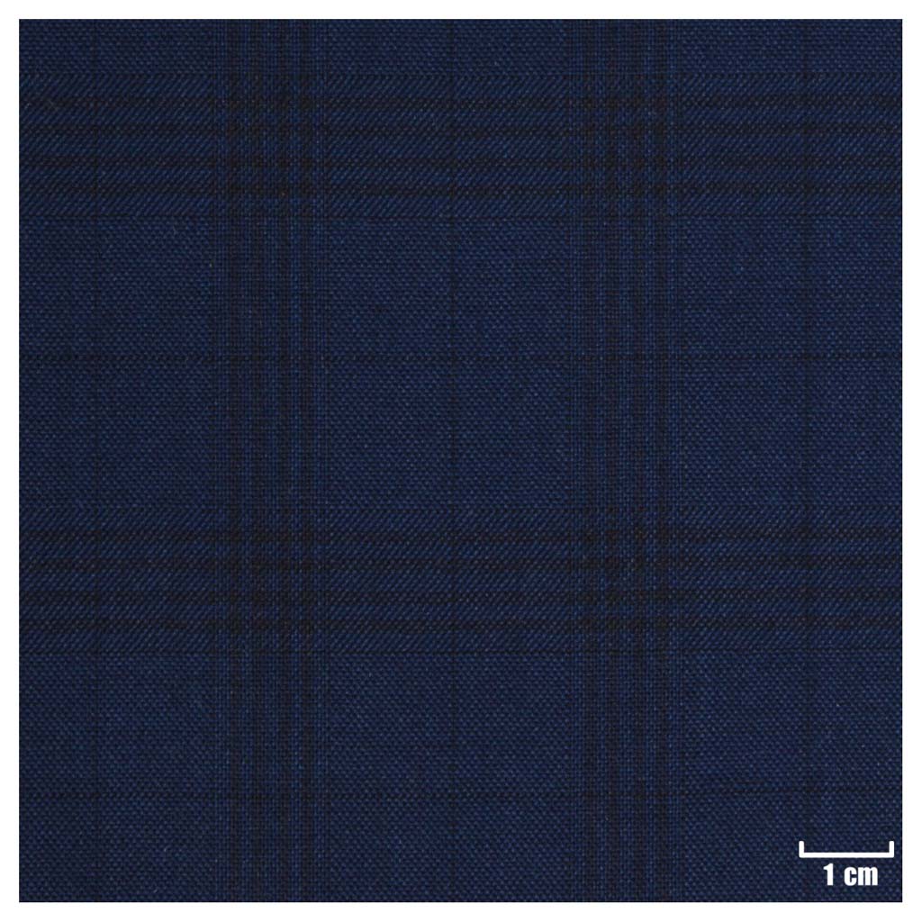 BLUE, CHECKS