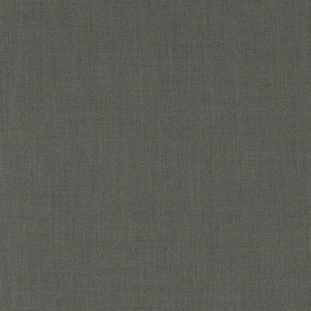 GREY, BIRDEYE