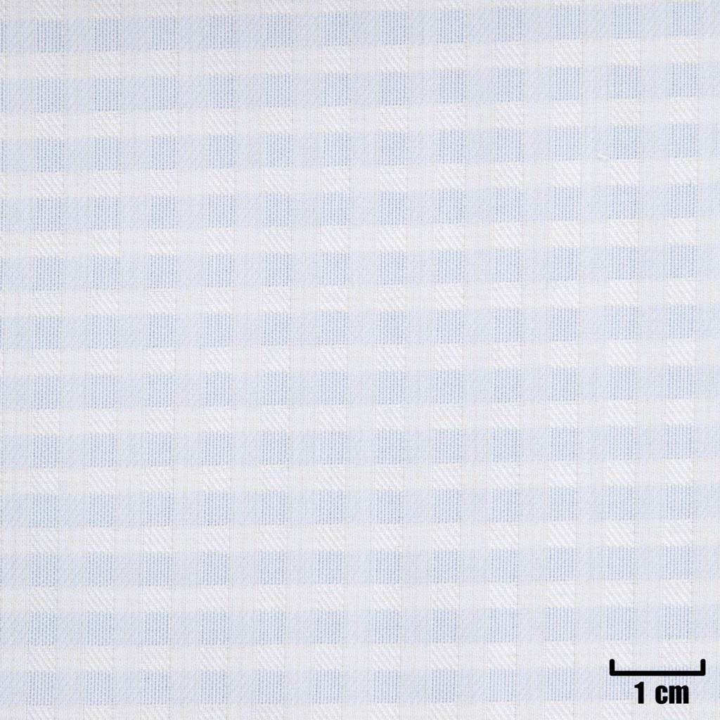 BLUE, SMALL WHITE CHECKS