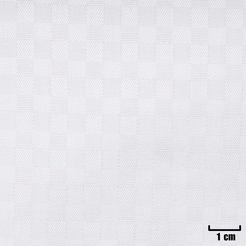 WHITE, SMALL CHECKS