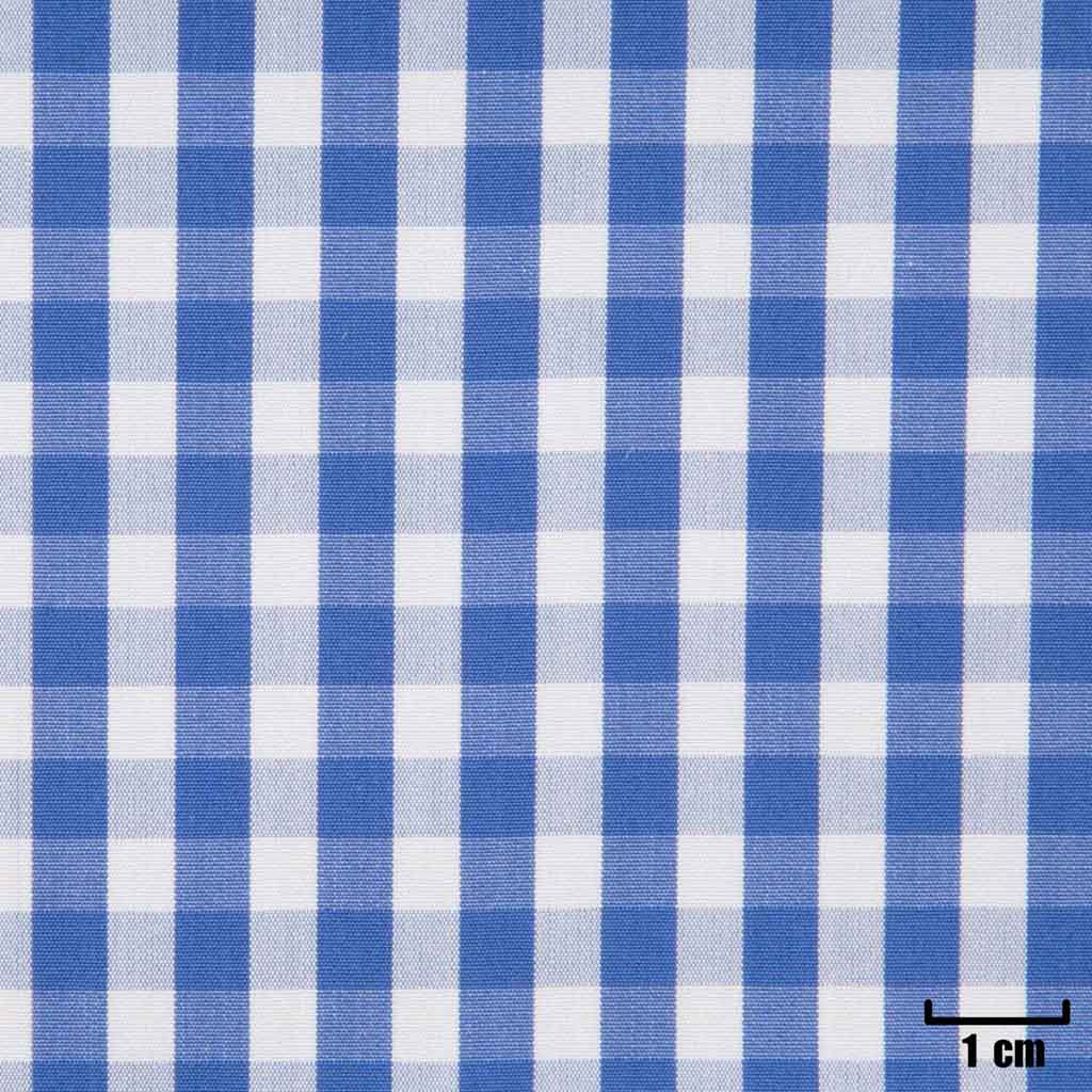 WHITE, SMALL BLUE CHECKS