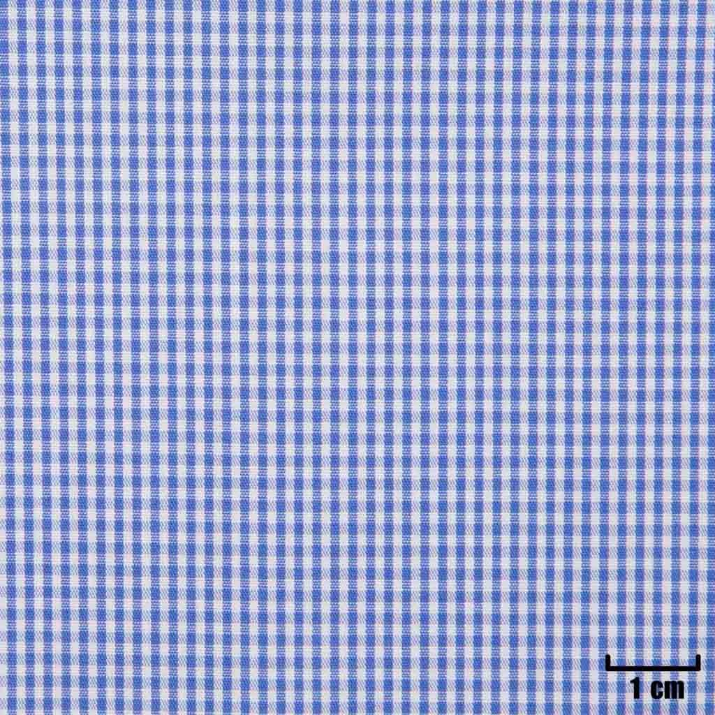 WHITE, SMALL BLUE CHECKS