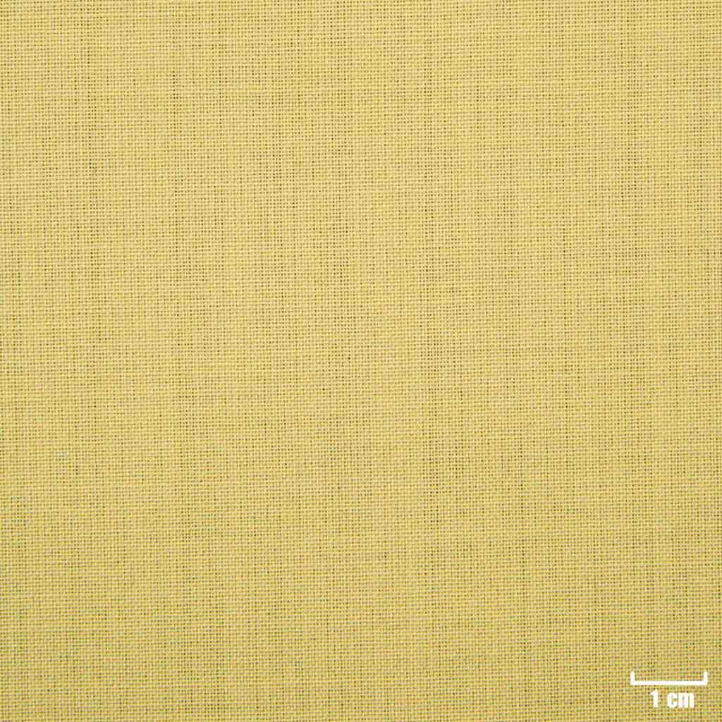 LIGHT TAN, PLAIN