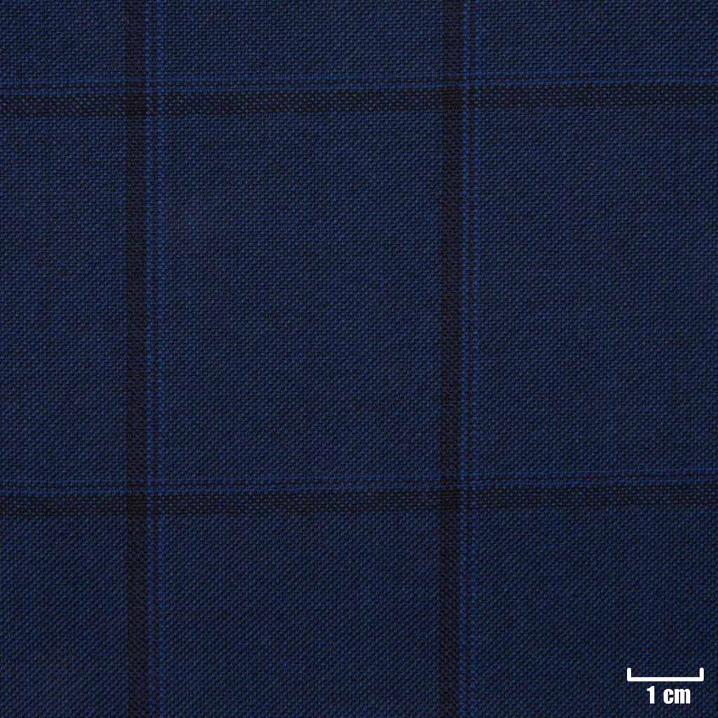 BLUE, BLACK CHECKS