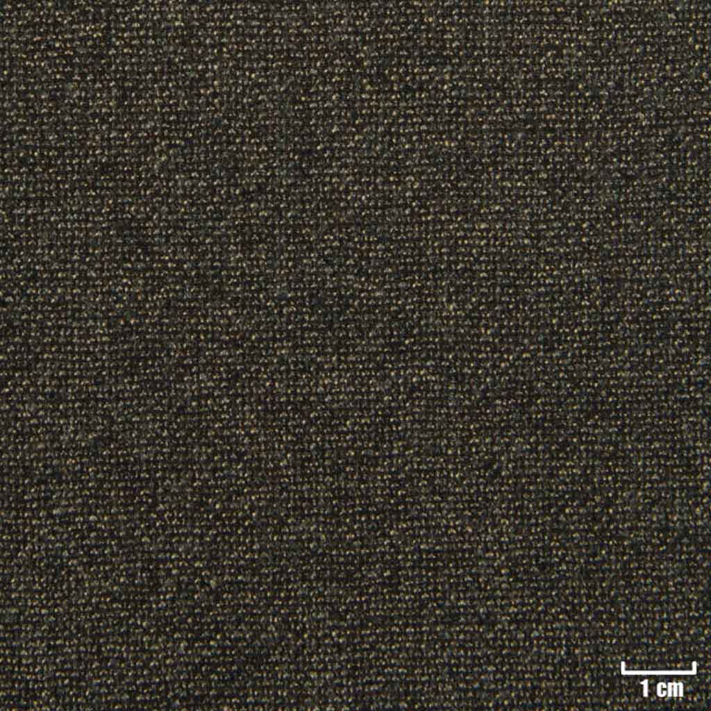 BROWN, DOTTED PATTERN