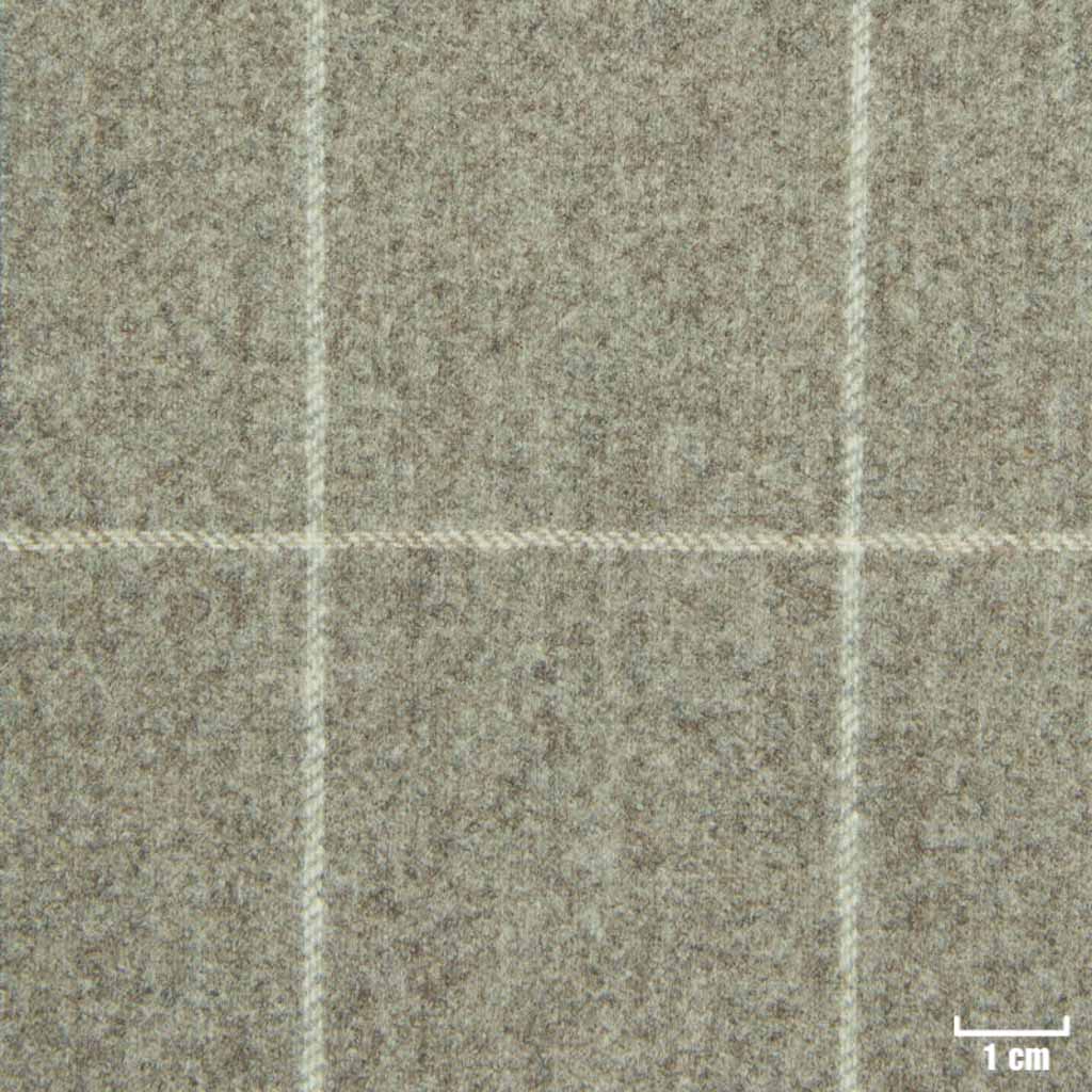 TAN, OFF WHITE CHECKS