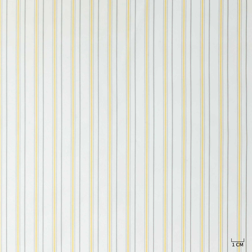 WHITE, YELLOW LINING