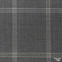 LIGHT GREY, BIG CHECKS