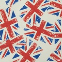 FLAGS PATTERN
