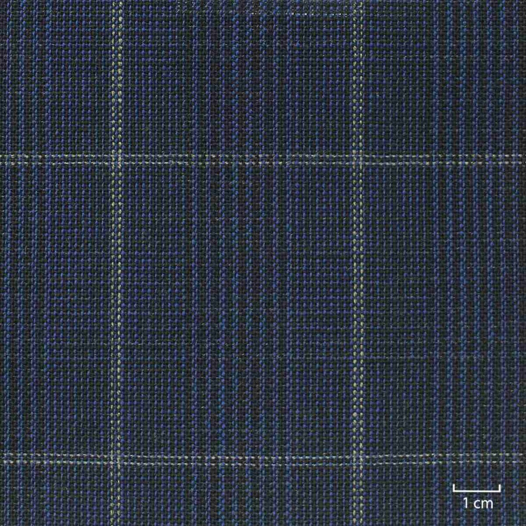 BLUE, CHECKS
