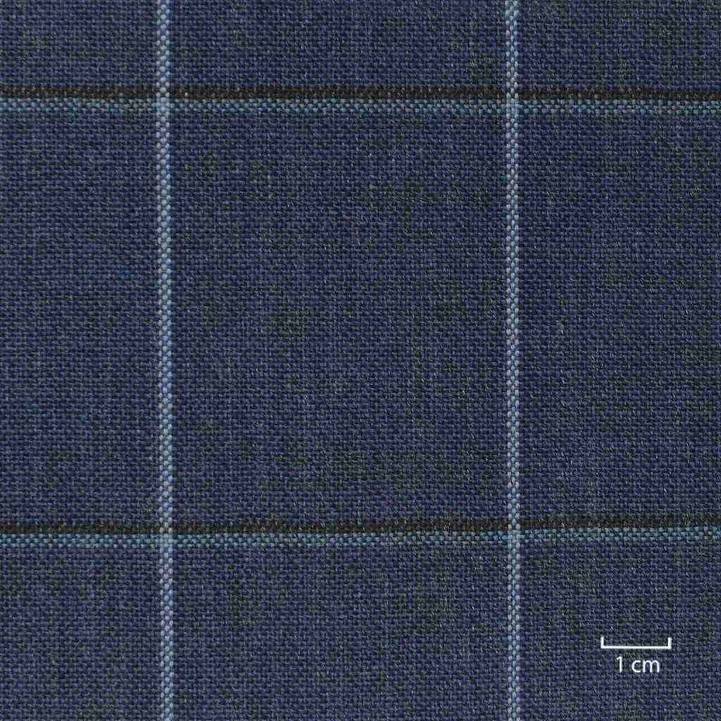 BLUE, CHECKS