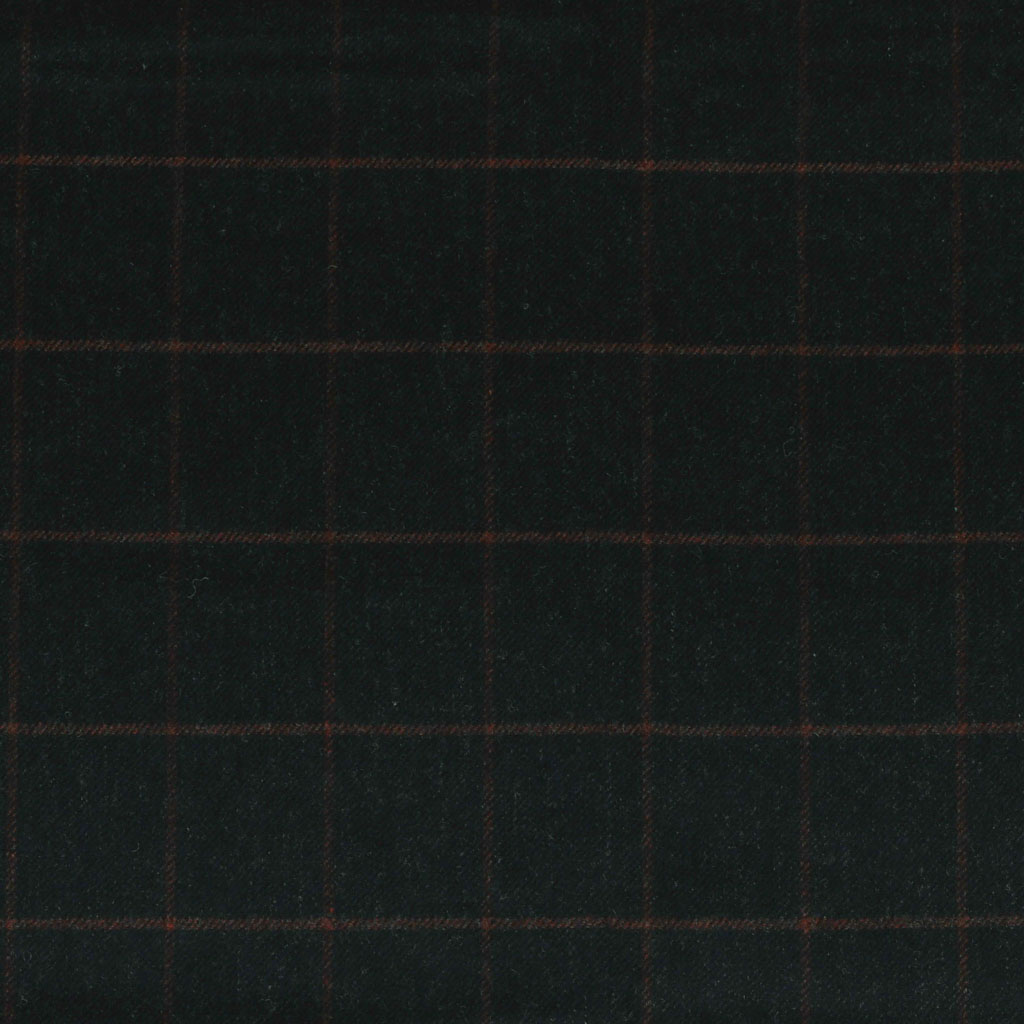 BLUE, RED CHECKS